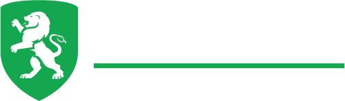 LionHeart Building & Consultants logo